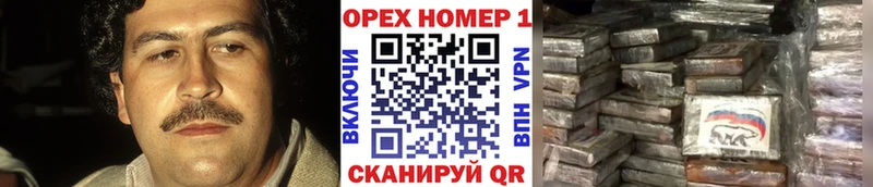 COCAIN Fish Scale  MEGA tor  Нарткала 