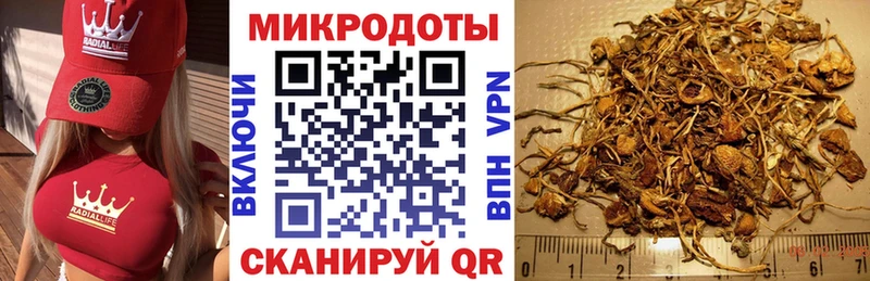 Галлюциногенные грибы прущие грибы  закладки  Нарткала 