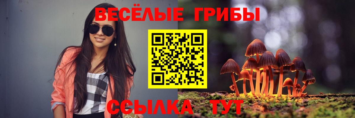 Галлюциногенные грибы мицелий  Вход с VPN  купить наркотики цена  Нарткала 