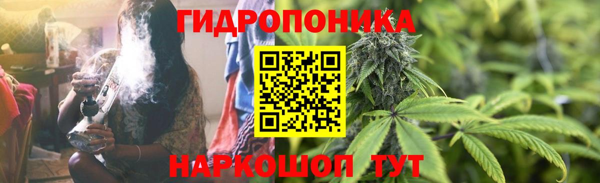 Шишки марихуана OG Kush Нарткала